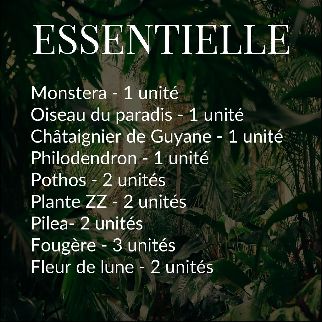 Forêt - Essentielle2 - PLANTILOC.webp