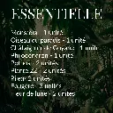 Forêt - Essentielle2 - PLANTILOC.webp