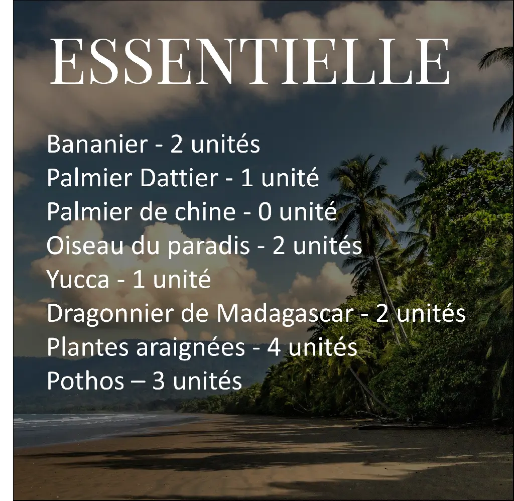 Paradis - Essentielle 2- PLANTILOC.webp