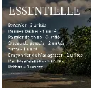 Paradis - Essentielle 2- PLANTILOC.webp